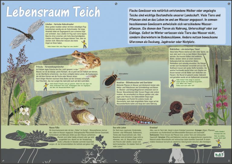 nabit_schild_lebensraum_teich NaBiT GbR
